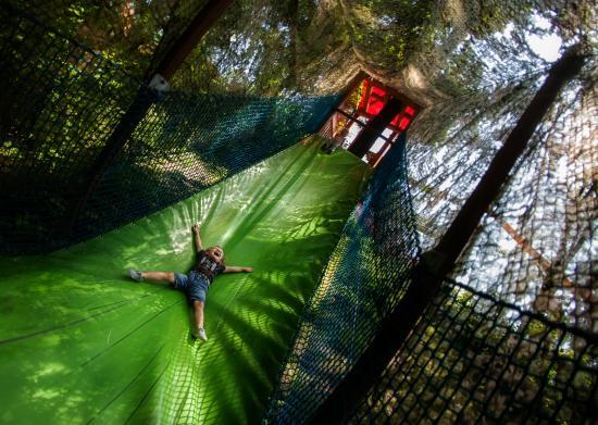 Park Linowy Trollandia Międzybrodzie Żywieckie